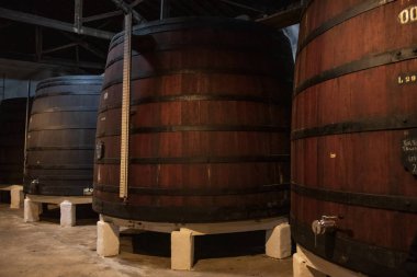 Porto Portekiz Porto şarap mahzenleri