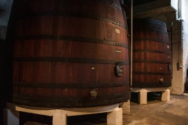 Porto Portekiz Porto şarap mahzenleri