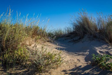 portekiz sahilinde kum ula 