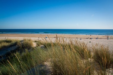 Costa da Caparica Portekiz Riviera plaj