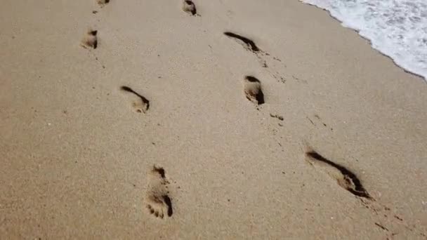 Foot Steps Marks Sand — Stock Video