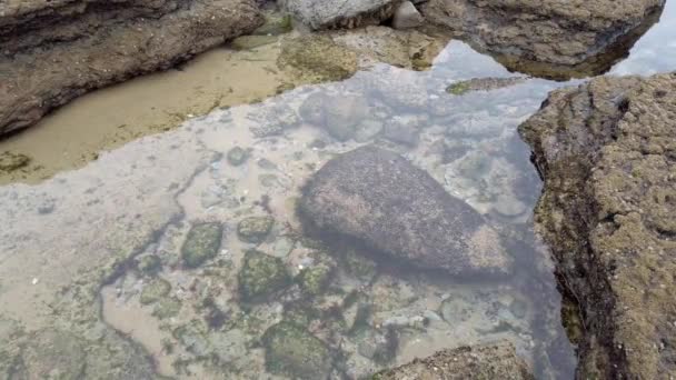 Oceaan Water Pond Een Strand — Stockvideo