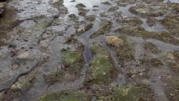 Libras Agua Del Océano Una Playa — Vídeos de Stock