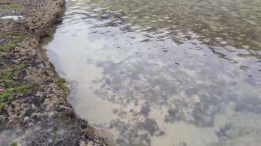  Kayalık bir plajda fırtına hava kırma dalgalar