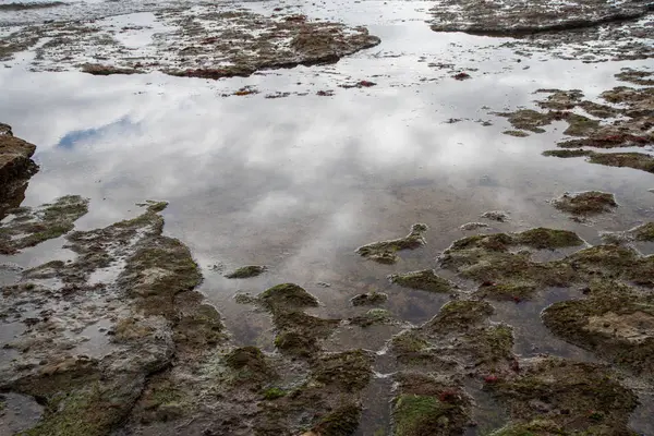 Oceaan water pond — Stockfoto