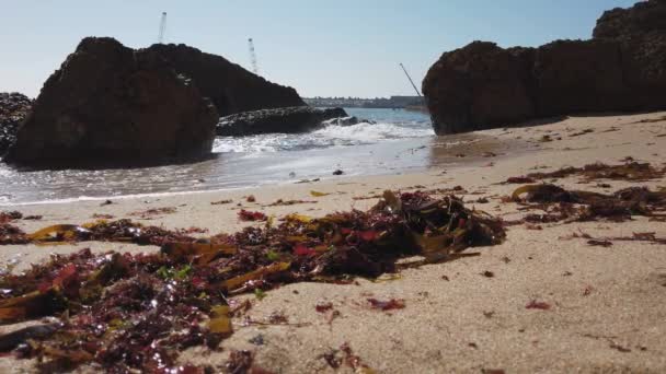 Pescadores Beach Ericeira Portugal — Stockvideo