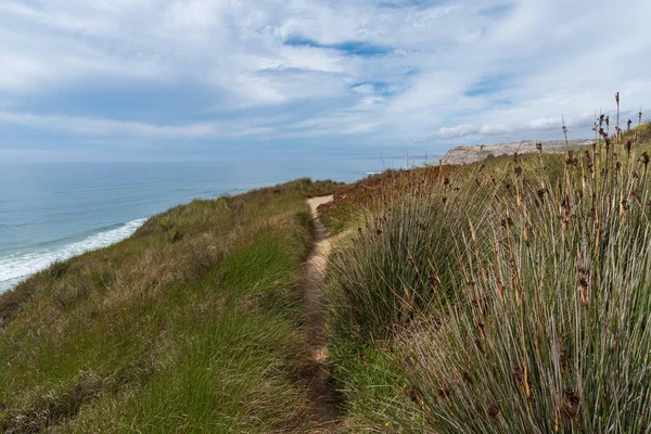 Vacker stig in i havet — Stockfoto