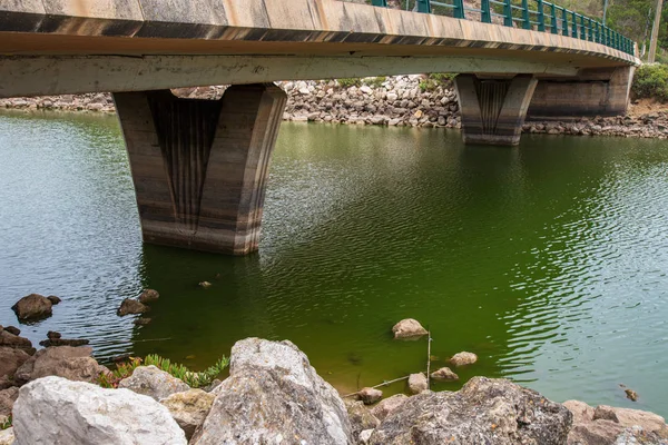 Rivier met groen water — Stockfoto