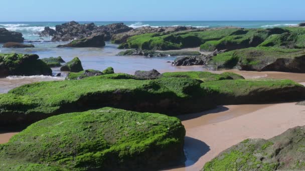 Wellen Brechen Einem Strand Portugal — Stockvideo