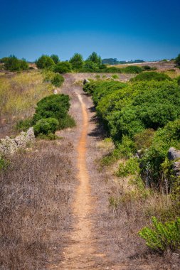 Yeşil tomurcukları ve ağaçları olan bir ülke.