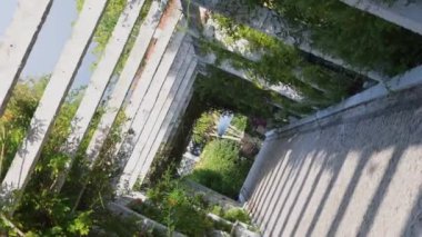 Yeşil yapraklı bir tünelde 360 dönüş.