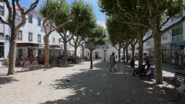 Mafra Portugal August 2020 Blick Auf Das Dorf Ericeira Portugal — Stockvideo