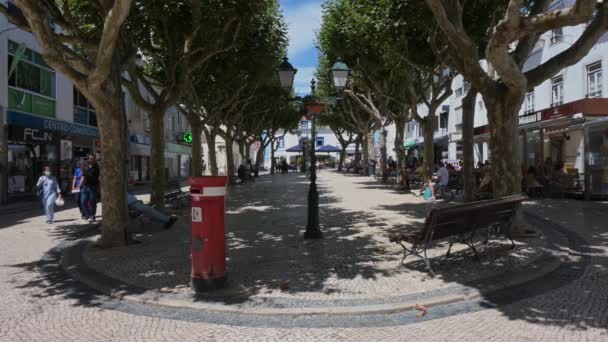 Mafra Portugal Agosto 2020 Vista Aldeia Ericeira Portugal — Vídeo de Stock