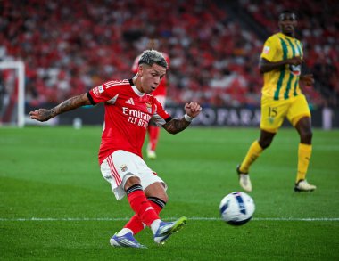 Lizbon, Portekiz. 23 Ağustos 2025. Estdio da Luz 'da Benfica ve Tondela arasında oynanan Liga Portekiz Maçı 3.. 