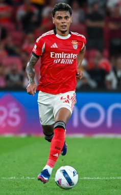 Lizbon, Portekiz. 23 Ağustos 2025. Estdio da Luz 'da Benfica ve Tondela arasında oynanan Liga Portekiz Maçı 3.. 