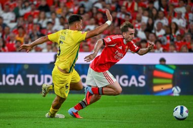 Lizbon, Portekiz. 23 Ağustos 2025. Estdio da Luz 'da Benfica ve Tondela arasında oynanan Liga Portekiz Maçı 3.. 