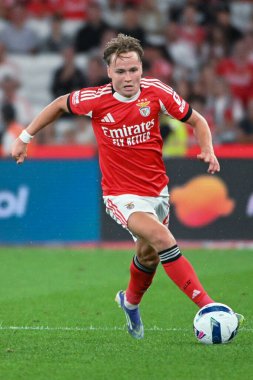 Lizbon, Portekiz. 23 Ağustos 2025. Estdio da Luz 'da Benfica ve Tondela arasında oynanan Liga Portekiz Maçı 3.. 