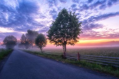 Çiçekli Valley, asfalt yol ve renk bulutlu gökyüzü ile doğal manzara güzel gündoğumu. Nergis Vadisi, tabiatı yakınındaki Khust, Transcarpathia, Ukrayna