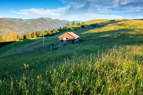 Słoneczny Alpejska Łąka Drewnianym Budynku Zielona Trawa Niebieski Pochmurny Widok — Zdjęcie stockowe