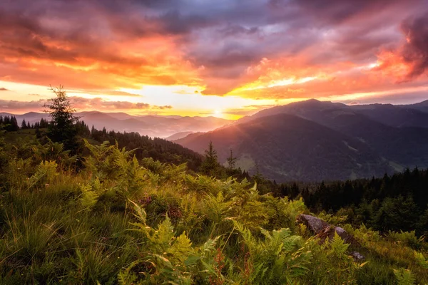 Niesamowite Kolory Wschód Słońca Nad Górami Natura Summer Krajobraz Górski — Zdjęcie stockowe