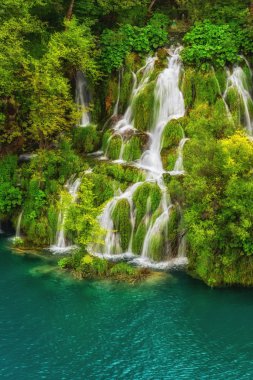 Yeşil ağaçlar ve zümrüt Gölü, Plitvice Gölleri Milli Parkı, Hırvatistan, dikey doğa arka plan çevrili güzel şelaleler