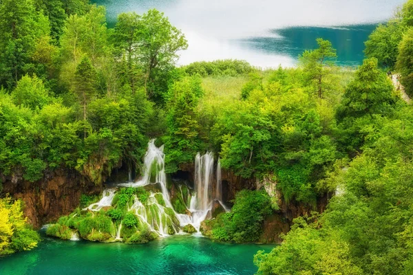 Plitvice 놀라운 에메랄드 호수와 크로아티아 가이드 숲으로 둘러싸인 — 스톡 사진