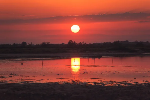 Вогненно Червоних Захід Сонця Над Водно Болотних Угідь Камаргу Регіонального — стокове фото