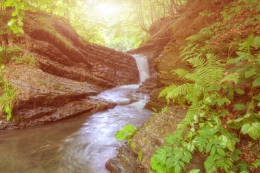 Dağ şelale çevrili rocky Kanyon ile güzel güneşli manzara olmak yeşil orman, doğal yaz arka plan, Lumshory, Karpatlar