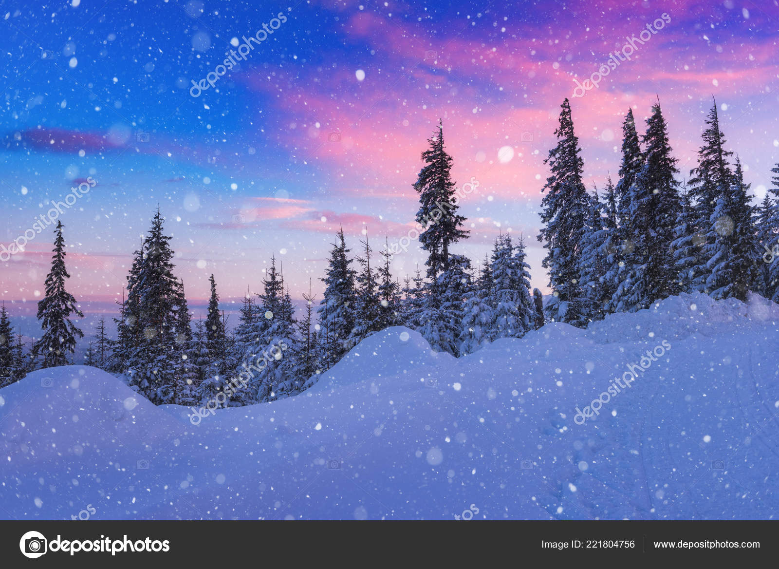 Arbres Hiver Magnifique Paysage Montagnes Noël Dans Neige