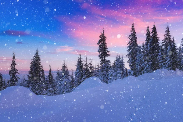 Güzel kış manzara, dağlar ve Noel ağaçları karda. Dağ sırtı şaşırtıcı bulutlu gökyüzü ile doğal görünümünü