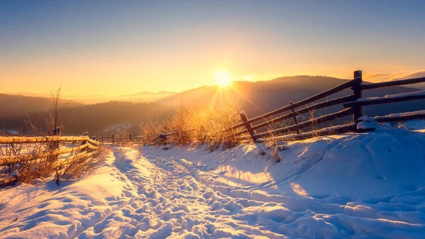 Beau Paysage Hivernal Sous Lumière Douce Coucher Soleil Arbres Givrés — Photo