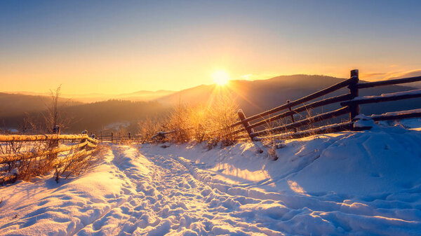 Красивый зимний пейзаж в мягком свете заката, замерзшие деревья вдоль снежной тропы и горы на заднем плане

