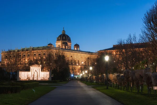 Volksgarten (insanların Bahçe) gece, ünlü genel Park'ta Viyana, arka planda Doğal Tarih Müzesi, Avusturya