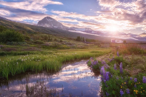 Linda Paisagem Verão Pôr Sol Sobre Montanhas Vale Florido Com — Fotografia de Stock