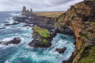Muhteşem deniz manzarası, Londrangar bazalt Rock'ta volkanik cliff, görünüm popüler bakış açısından, İzlanda, doğal Batı Atlantik sahil arka plan seyahat. Snaefellsnes Yarımadası, İzlanda, Europe