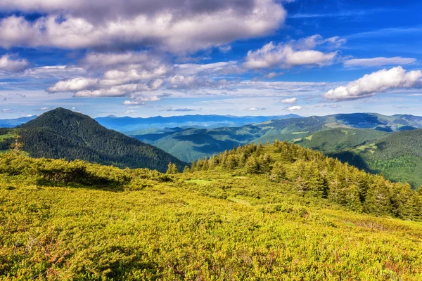 Belo Cume Montanha Verão Paisagem Diurna Brilhante Com Montanhas Verdes — Fotografia de Stock