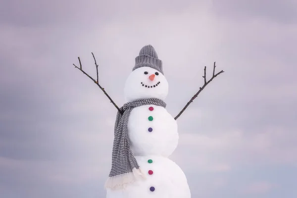 Lindo Muñeco Nieve Sonriente Contra Fondo Nublado Del Cielo Feliz — Foto de Stock