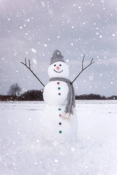 Niedlich Lächelnder Schneemann Schneefall Fröhliches Winterkonzept Vertikales Bild — Stockfoto