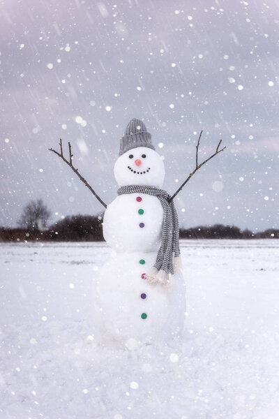 Cute smiling snowman in snowfall, happy winter concept, vertical image