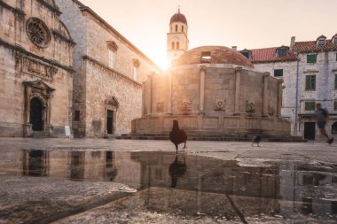 Dubrovnik eski şehir. Antik Mimarlık - büyük Onofrio Çeşme, kilise ve manastır ile tarihi kent Meydanı. Dünya ünlü ve en çok ziyaret edilen şehir Hırvatistan, Unesco Dünya Mirası sit alanı