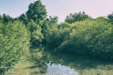 Doğa yaz vintage manzara - yeşil ağaçlar ile kristal berraklığında bir çeşme, Plitvice Gölleri Milli Parkı, Hırvatistan yansıması