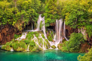 Şelale ile Plitvice Milli Parkı, Hırvatistan gölde su turkuaz yeşil yaz ormandaki. Doğa arka plan duvar kağıdı, kapak ya da rehber kitap için uygun