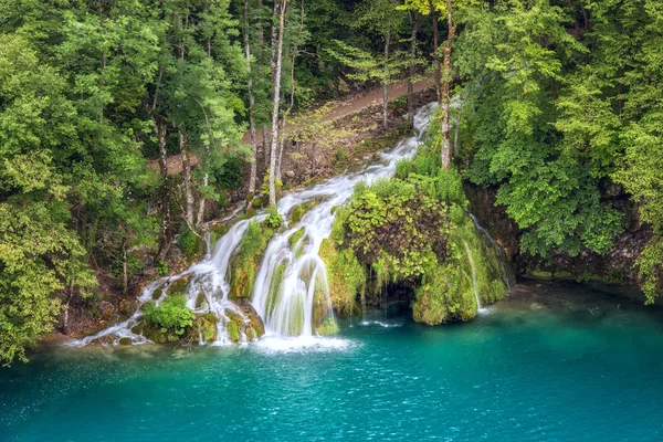 Tourist route in the green summer forest with waterfall, Plitvice Lakes National park, Croatia. Nature background suitable for guide book