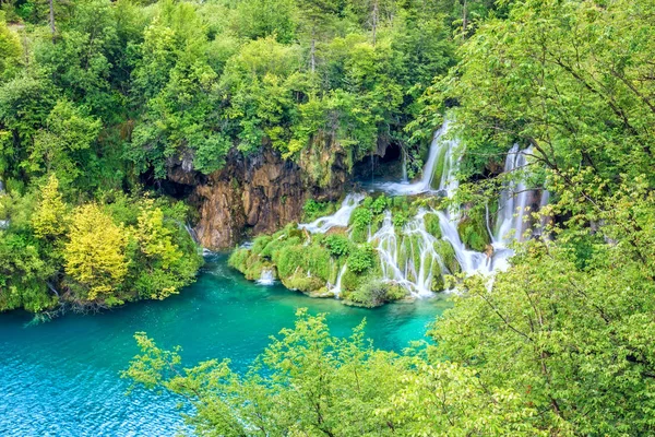 Waterfall in the green summer forest with turquoise water of the lake at Plitvice National park, Croatia. Nature background suitable for wallpaper, cover or guide book