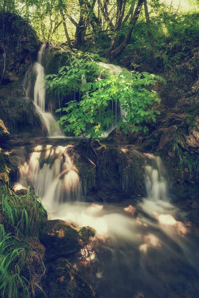 Beautiful Waterfall Summer Green Dark Forest Plitvice Lakes National Park — Stock Photo, Image