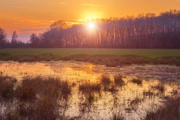 Прекрасні Весняні Болота Заході Сонця Барвисті Природні Пейзажі Кольоровим Небом — стокове фото