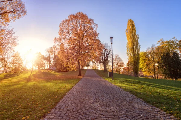 Schöner Herbstpark Prag Beliebtes Touristenziel Letna Park Letenske Sady Sonnenlicht — Stockfoto