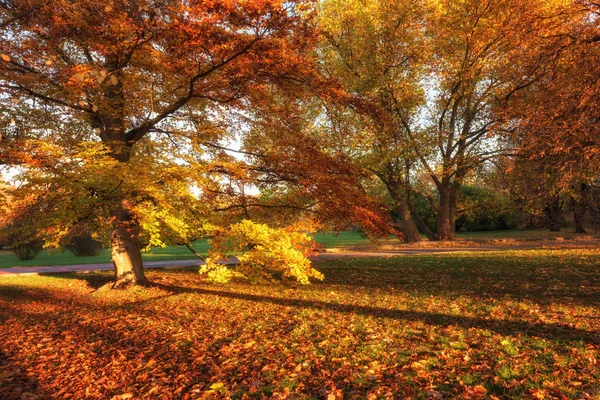 Herbstpark Sonnenlicht Bunte Landschaft Beliebtes Touristenziel Letna Park Letenske Sady — Stockfoto