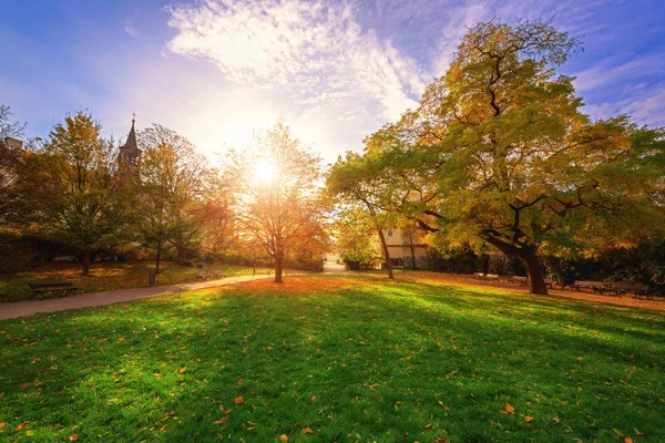 Park in Prague near the Castle Hill, sunny autumn landscape with green grass, yellow trees and blue sky, Prague, Czech Republic, travel Europe