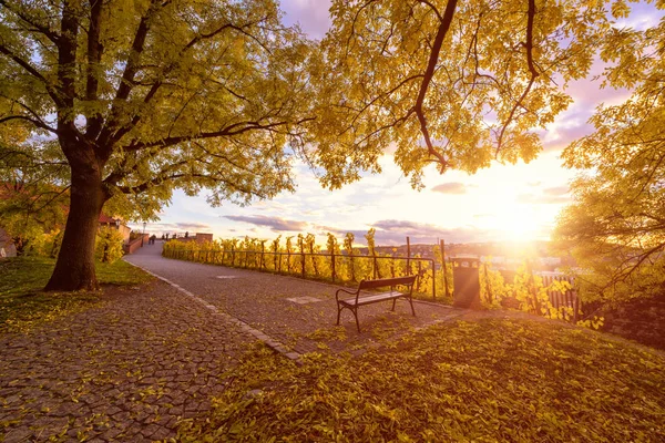 Herbst Prag Goldener Sonnenuntergang Wyschegrad Touristische Route Zur Aussichtsplattform Durch — Stockfoto